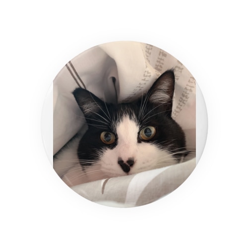 あああ Tin Badge