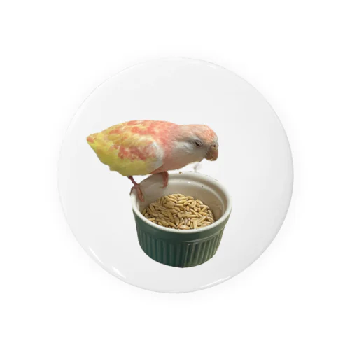 ねむねむご飯食べ鳥 Tin Badge