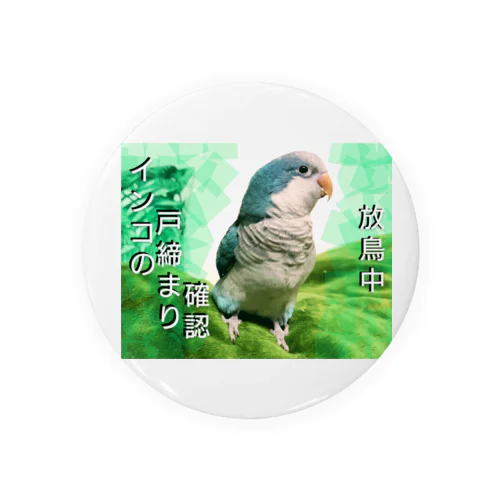 放鳥中２ 캔뱃지