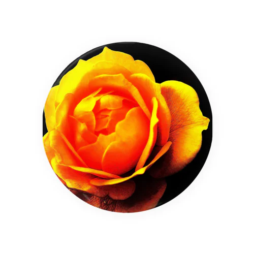 Yellow Rose Tin Badge