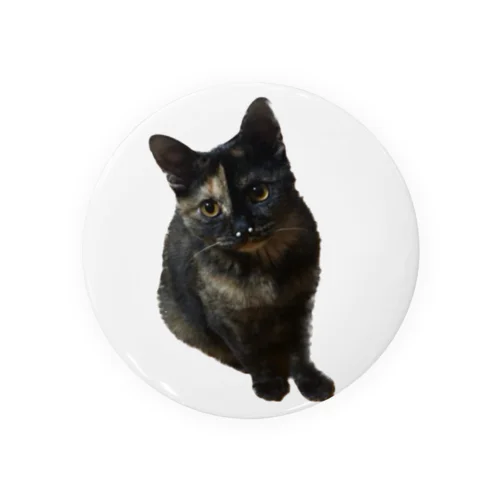 サビ猫くう Tin Badge