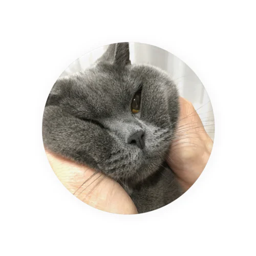 おにぎり猫 Tin Badge