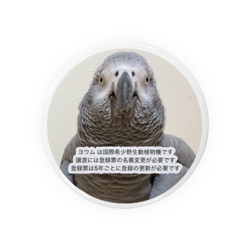 ヨウム ／国際希少野生動植物種 Tin Badge