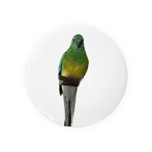 ビセイインコ Tin Badge