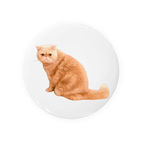 オヤジ猫 Tin Badge