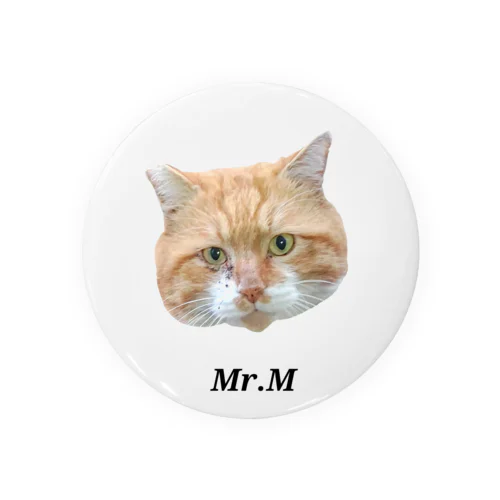 Mr.Mの顔面 Tin Badge