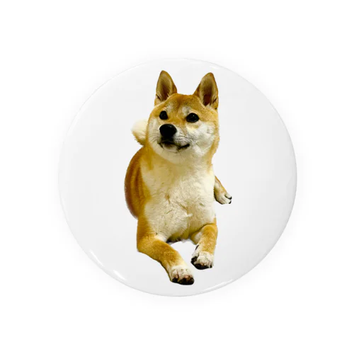 柴犬おかゆ Tin Badge