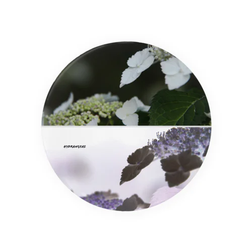 hydrangeas Tin Badge