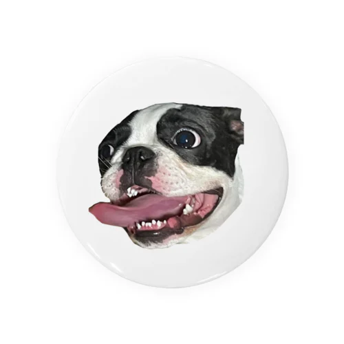 恐怖の犬 Tin Badge