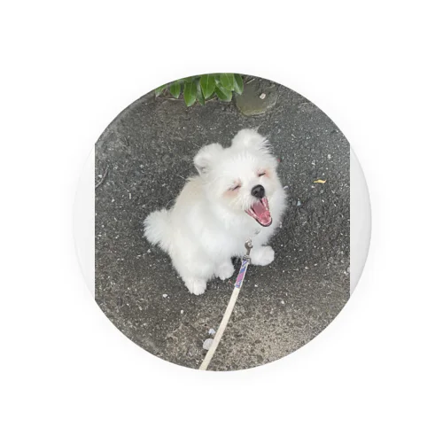 マフィロン　あくび Tin Badge