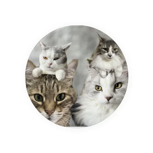 ねこそらこうめひめ Tin Badge