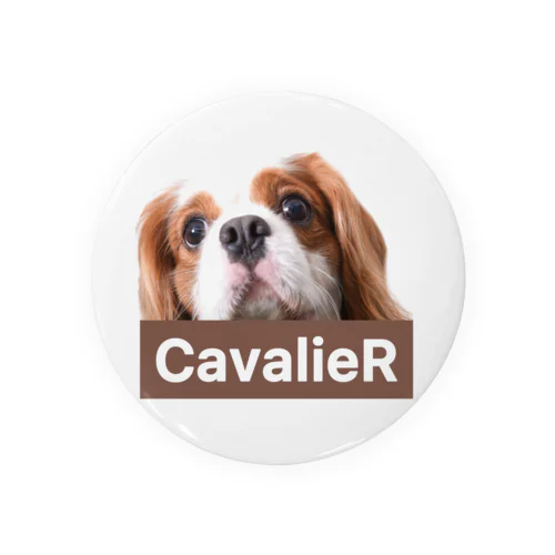 CavalieR キャバリア 缶バッジ