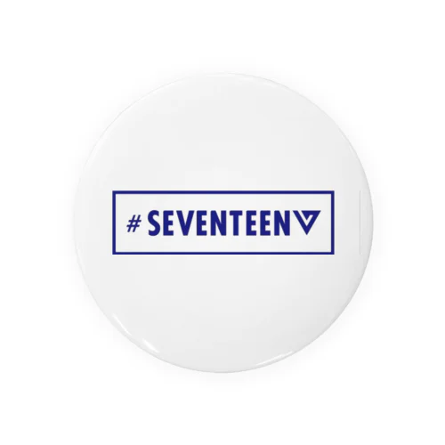 seventeen Tin Badge