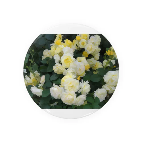 黄色い薔薇の花 Tin Badge