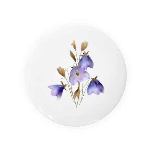 キキョウ Chinese bellflower Tin Badge