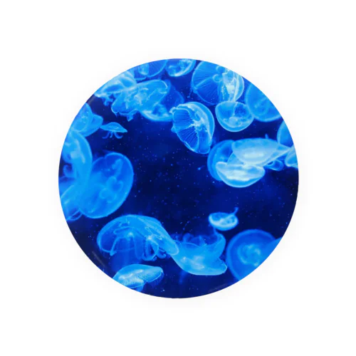 Jellyfish=海月 缶バッジ