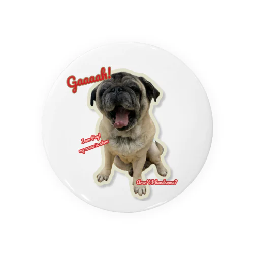 I am Pug!　 Tin Badge