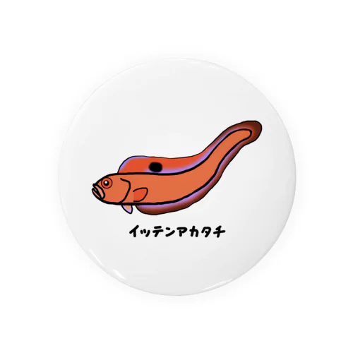 【魚シリーズ】イッテンアカタチ♪231103 Tin Badge