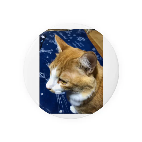 イケ猫  にこくん Tin Badge