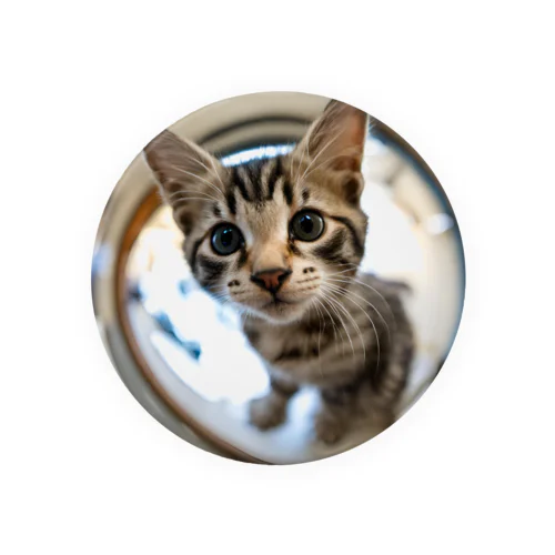 kitty cat Tin Badge