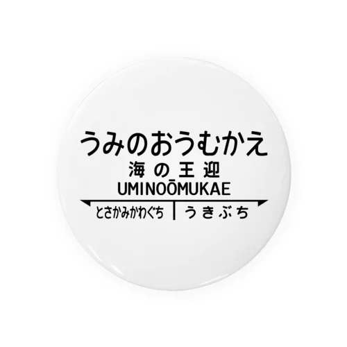 海の王迎（うみのおうむかえ）【強そうな駅名】昭和レトロ駅標デザイン 缶バッジ