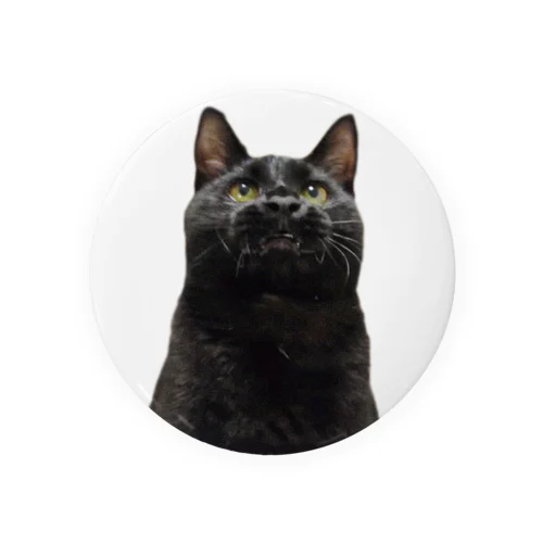 黒猫 Tin Badge