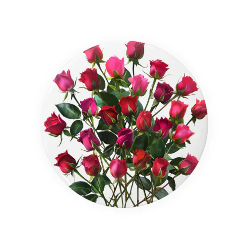 Redpink 26 Roses Tin Badge