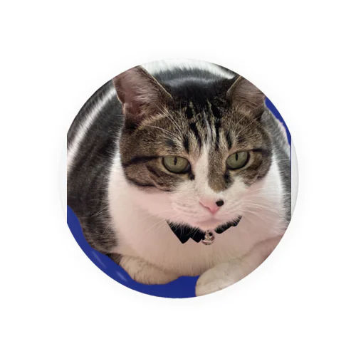 もふねこくうた君 Tin Badge