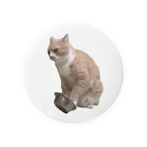 【猫ミーム】餌を催促する猫 Tin Badge
