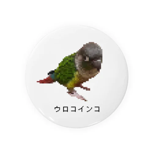 ウロコインコ(ドット) 缶バッジ