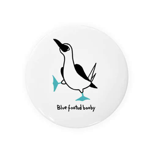 Blue footed boody 缶バッジ