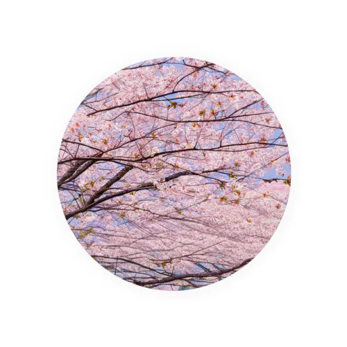 美しき桜 Tin Badge