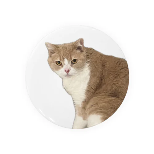 マシロくん猫グッズ Tin Badge