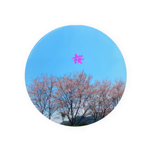 さくら　桜の木　青い空 缶バッジ