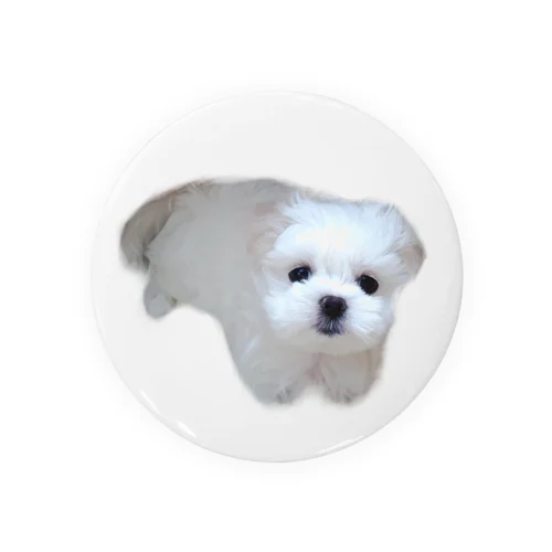 ミルクが家族になった日🐶 Tin Badge