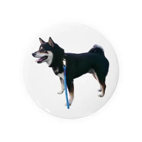 黒芝犬 ジャック Tin Badge