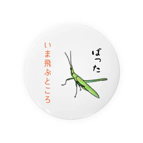 しんぼるず→ばった Tin Badge