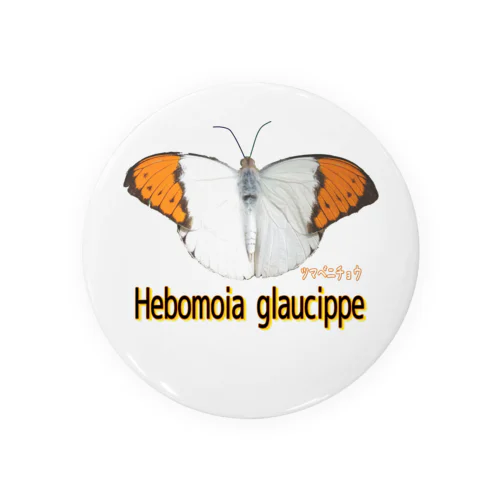 魅惑のツマベニチョウ　Hebomoia glaucippe 缶バッジ