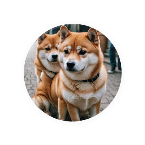 2匹のかわいい柴犬が仲良く並んで写っています。 Tin Badge