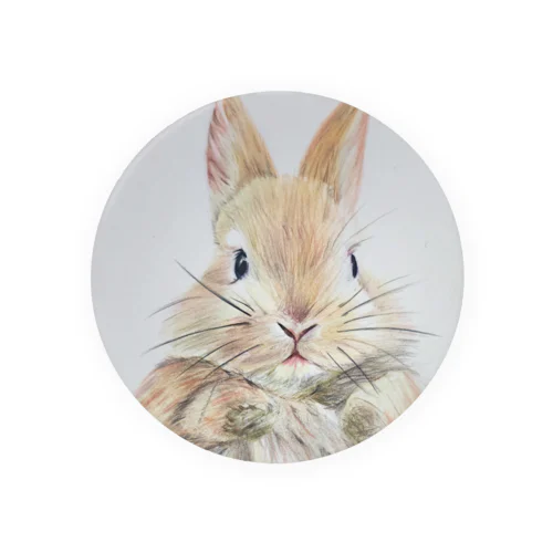 【色鉛筆画】うさぎさん🐰 Tin Badge