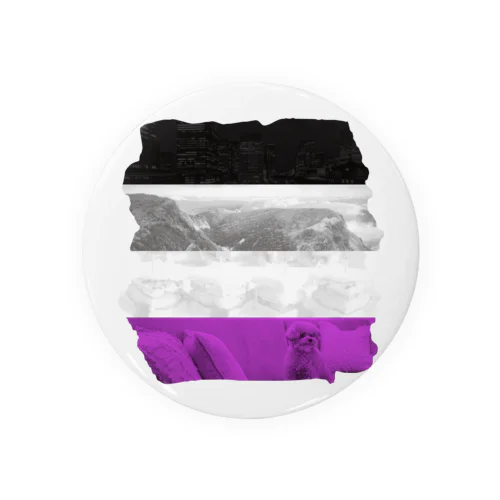 ペイント-Asexual color Tin Badge