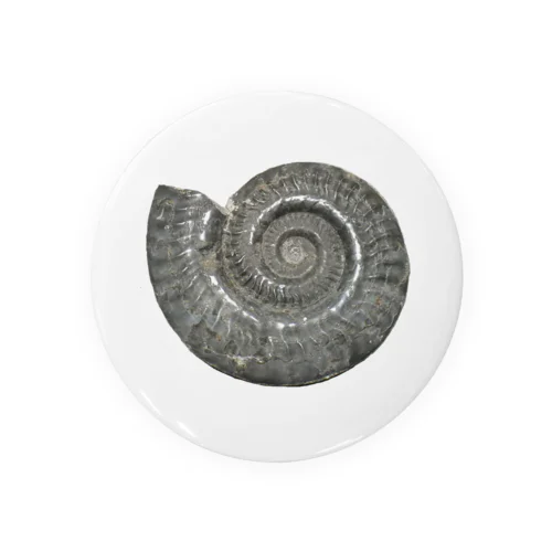 アンモナイト　ヒルドセラス Tin Badge