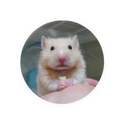 ムム顔こぶ様1 Tin Badge