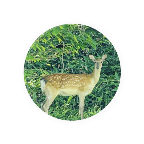エゾシカくん Tin Badge