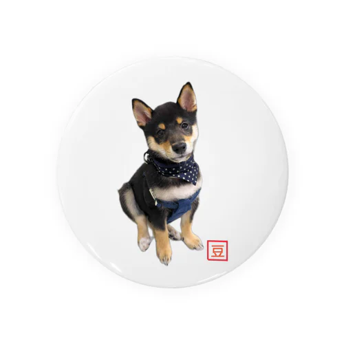 🐾豆柴BOY🐾 世界中で愛される柴犬 Tin Badge