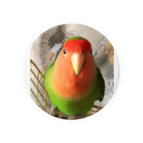 インコ界の用心棒、ジェイド之介 Tin Badge