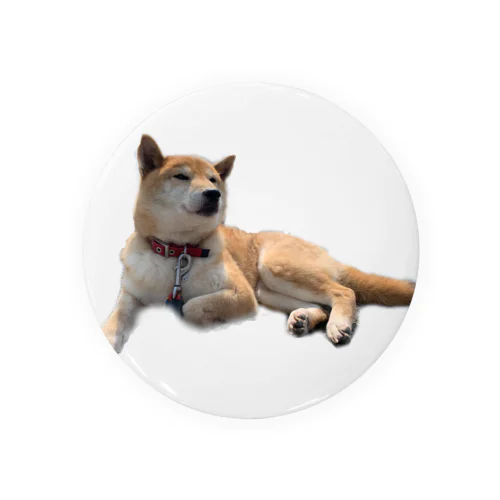 くつろぎ柴犬 Tin Badge