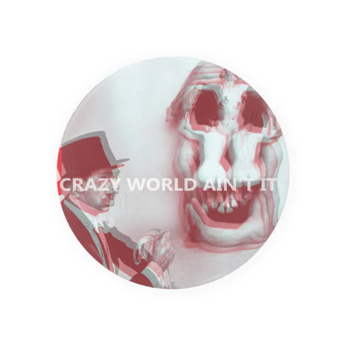 CRAZY WORLD AIN'T IT 缶バッジ