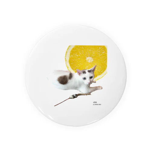 No.1 レモンなノアくん Tin Badge