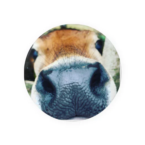 moo-moo Tin Badge